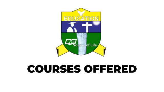 Courses: Programmes Offered at RUCU Tanzania