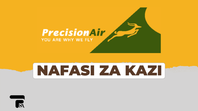 Licenced Aircraft Maintenance Engineer - Avionics Vacancy Open at Precision Air