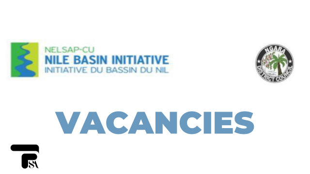 Nile Basin Initiative Hiring LADP Environmental Expert