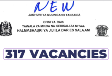 317 Job Vacancies Open at Dar es Salaam City Council