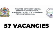 57 Employment Opportunities at Rorya District Council