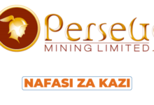 Support Services Coordinator || Perseus Mining