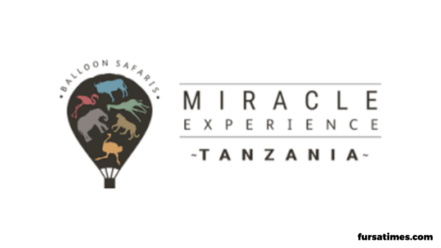 Miracle Experience Hiring Driver